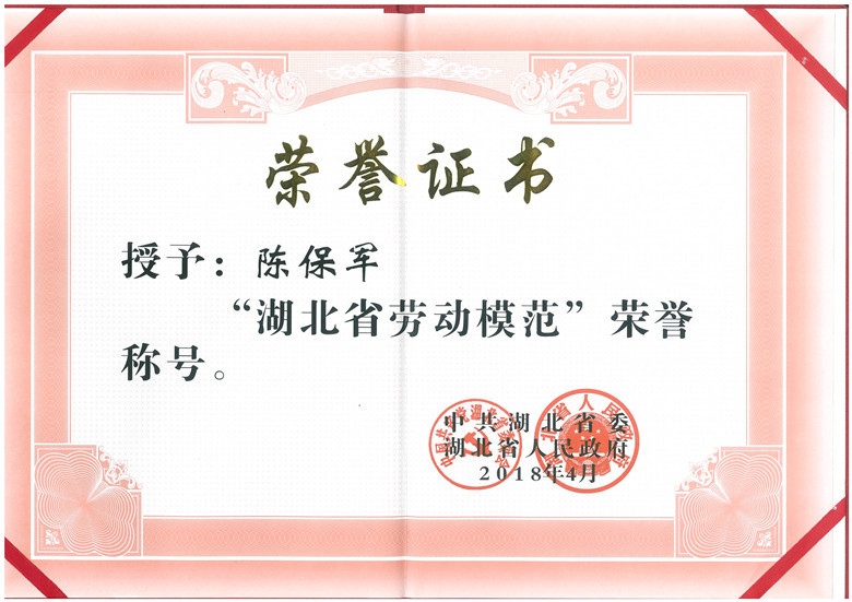 熱烈祝賀宜昌長機科技陳保軍同志榮獲“湖北省勞動模范”稱號